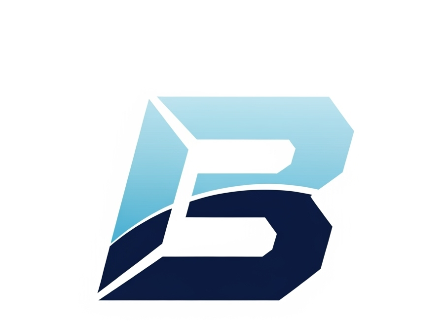 De Blizz Services Ltd